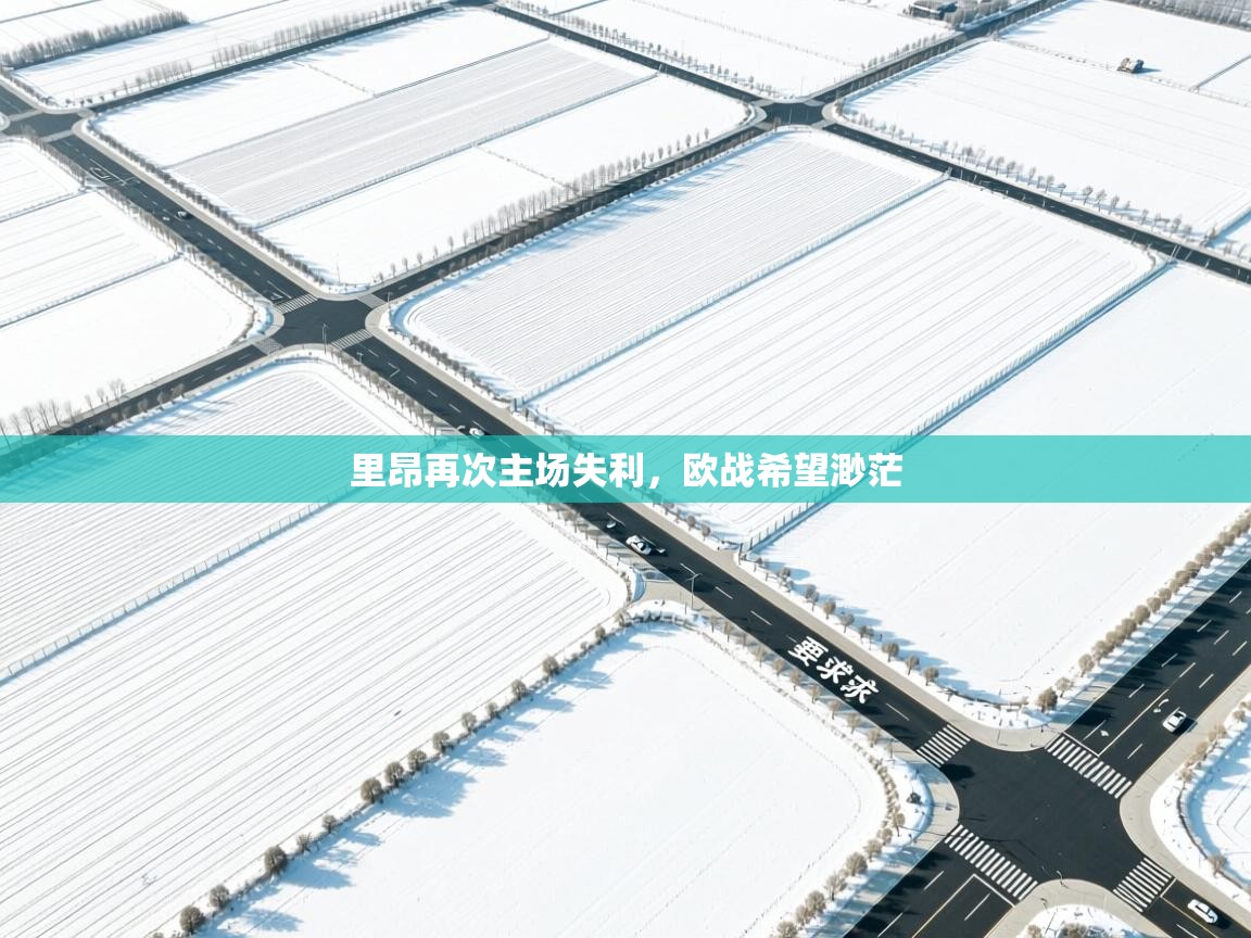 里昂再次主场失利，欧战希望渺茫  第2张