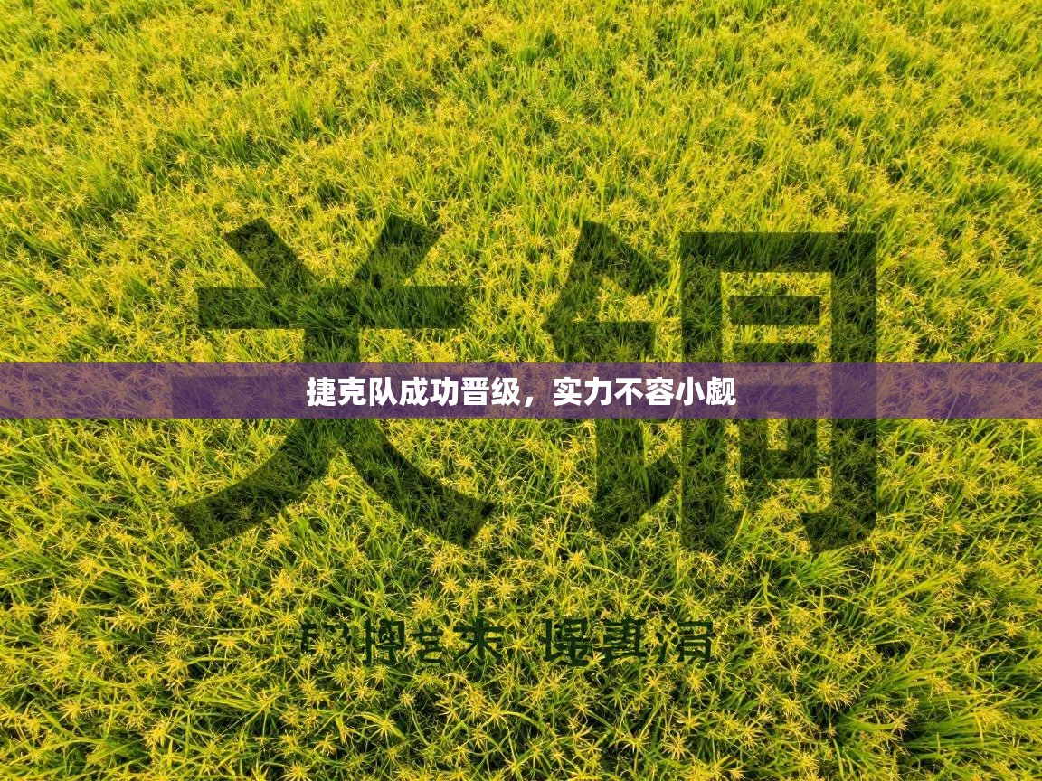 捷克队成功晋级,实力不容小觑 第2张