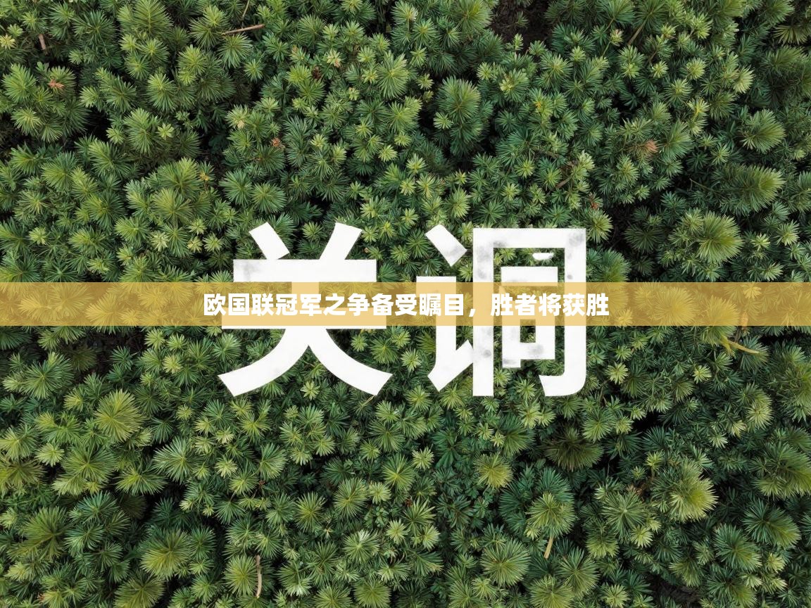 欧国联冠军之争备受瞩目，胜者将获胜